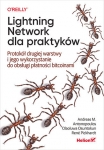 lightning-network-dla-praktykow-protokol-drugiej-warstwy-i-jego-wykorzystanie-do-obslugi-platnosci-bitcoinami.jpg