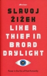 like-a-thief-in-broad-daylight.jpg