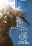 lot-nisko-nad-ziemia.jpg