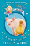 magic-molly-zwierzatka-w-potrzebie.jpg