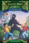 magiczny-domek-na-drzewie-noc-z-wojownikami-ninja-1.jpg