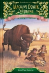 magiczny-domek-na-drzewie-ranek-z-bizonami.jpg
