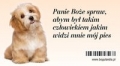 magnes-2-na-lodowke-panie-boze-spraw-abym-byl.jpg