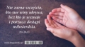 magnes-24-na-lodowke-nie-zazna-szczescia-kto-swe-winy-ukrywa.jpg