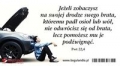 magnes-28-na-lodowke-jezeli-zobaczysz-na-swojej-drodze.jpg