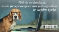 magnes-6-na-lodowke-rob-to-co-kochasz.jpg