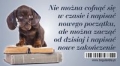 magnes-7-na-lodowke-nie-mozna-cofnac-sie-w-czasie.jpg