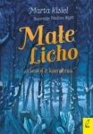 male-licho-i-aniol-z-kamienia.jpg