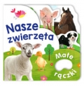 male-raczki-nasze-zwierzeta.jpg