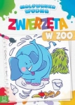 malowanka-wodna-zwierzeta-w-zoo.jpg