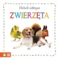 maluch-odkrywa-zwierzeta.jpg