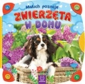 maluch-poznaje-zwierzeta-w-domu-1.jpg