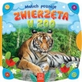 maluch-poznaje-zwierzeta-w-zoo.jpg