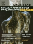 manipulacje-kregoslupa-klatki-piersiowej-i-obreczy-biodrowej-w-osteopatii.jpg