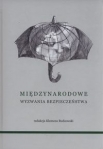 miedzynarodowe-wyzwania-bezpieczenstwa.jpg