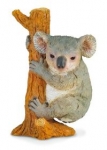 mis-koala-wspinajacy-sie-m.jpg
