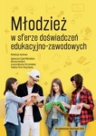 mlodziez-w-sferze-doswiadczen-edukacyjno-zawodowych.jpg