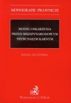 model-oskarzenia-przed-miedzynarodowym-trybunalem-karnym.jpg