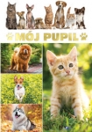 moj-pupil.jpg