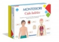 montessori-cialo-ludzkie.jpg