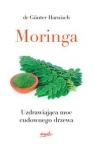 moringa.jpg