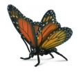 motyl-krolewski-insekty-l.jpg