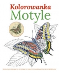 motyle-kolorowanka.jpg
