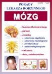 mozg-5.jpg