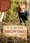 mrowisko-1.jpg