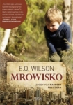 mrowisko-2.jpg