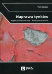 naprawa-tynkow.jpg