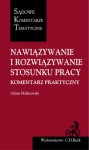 nawiazywanie-i-rozwiazywanie-stosunku-pracy-komentarz-praktyczny.jpg