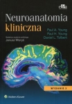 neuroanatomia-kliniczna.jpg