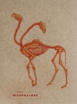 notes-bicephalous.jpg
