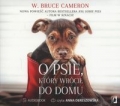 o-psie-ktory-wrocil-do-domu-1.jpg
