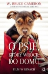 o-psie-ktory-wrocil-do-domu.jpg