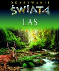 odkrywanie-swiata-las.jpg