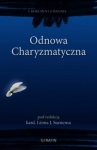 odnowa-charyzmatyczna-i-dokument-z-malines.jpg