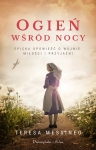 ogien-wsrod-nocy.jpg
