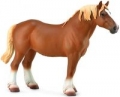 ogier-belgian-mare-gniady.jpg