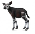 okapi-ciele-m.jpg