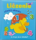 otworz-okienko-liczenie.jpg