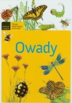 owady-5.jpg