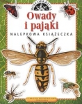 owady-i-pajaki-moje-odkrycia.jpg