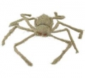 pajak-wlochaty-75-cm.jpg
