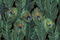 papeteria-mini-piora.jpg