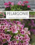 pelargonie-na-balkony-tarasy-do-ogrodu-2.jpg