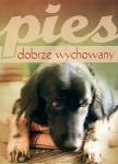 pies-dobrze-wychowany-1.jpg