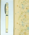 pioro-motyle.jpg