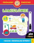 pisz-i-zmazuj-lamiglowki.jpg